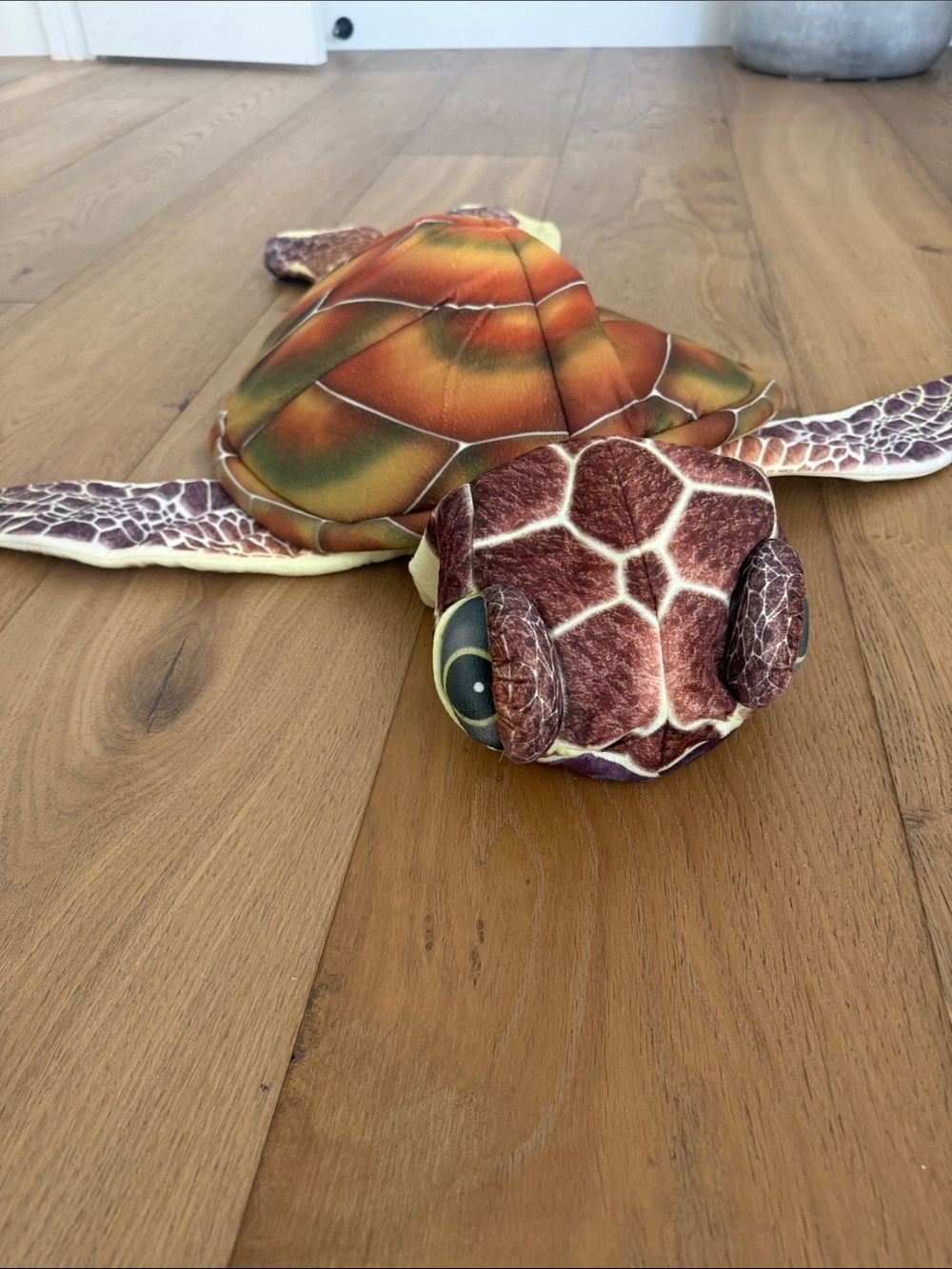 Baby Sea Turtle Costume Plush Hoodie - Brown & Orange Green Moana Finding Nemo